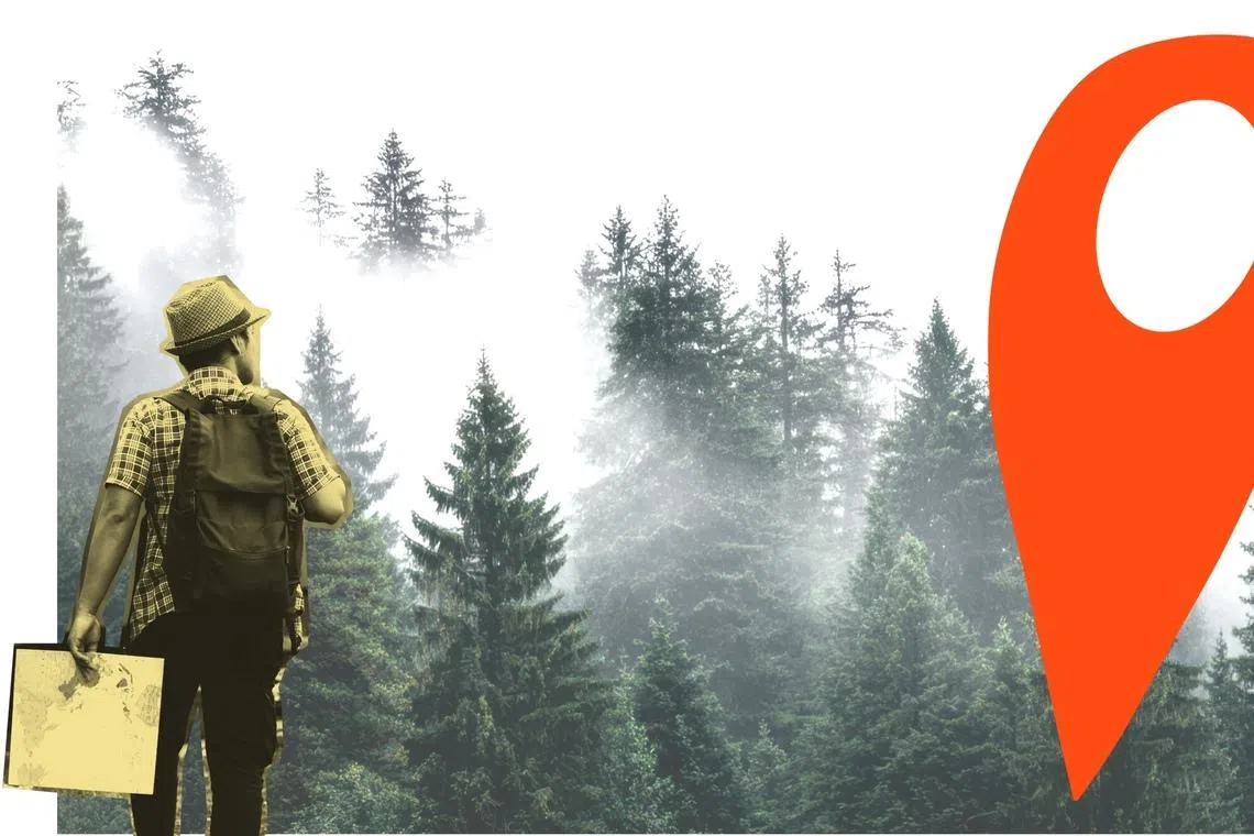 A simple check such as visiting the site of the overseas home would show that the deal was a scam as the address led to a forest.  