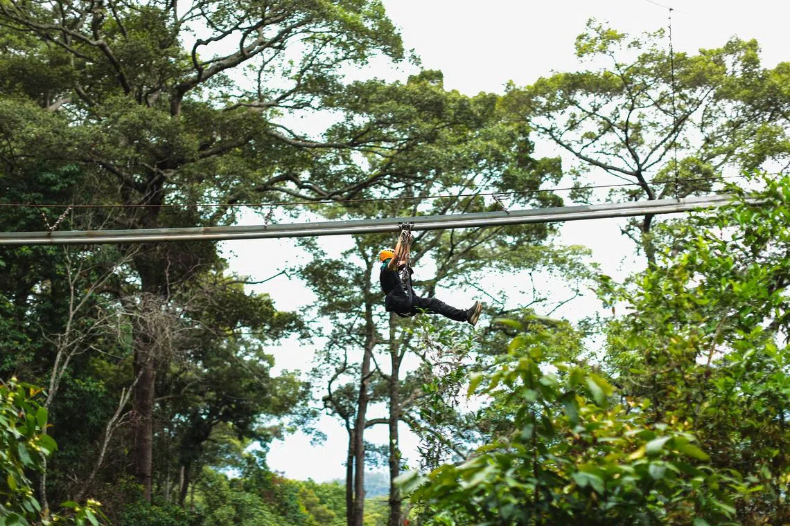 A joy-rider having a go on the zip line at the Jungle Flight facility in Chiang Mai, Thailand.