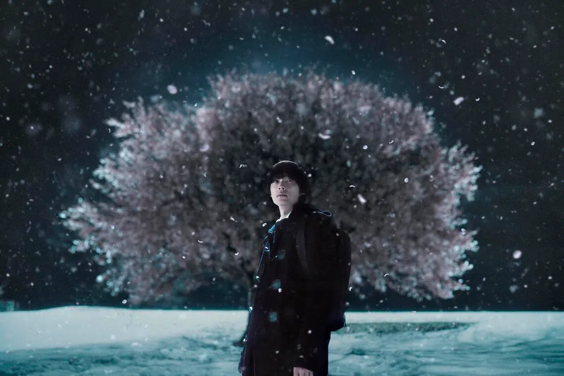 Hokuto Matsumura in 5 Centimeters Per Second.