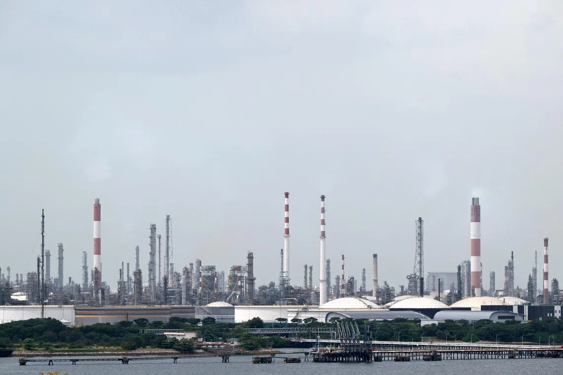 The infrastructure for the upcoming plant by PacificLight will be built on vegetated land on the emptier western side of the industrial island.