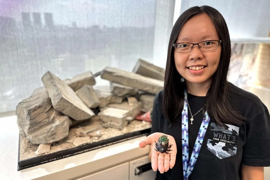aw rui huan holding the insect-hybrid robot in her palms which was designed for search and rescue operations to reach confined spaces inaccessible to human rescuers and larger machines, htx deployed it in myanmar in 2025 at earthquake disaster zones