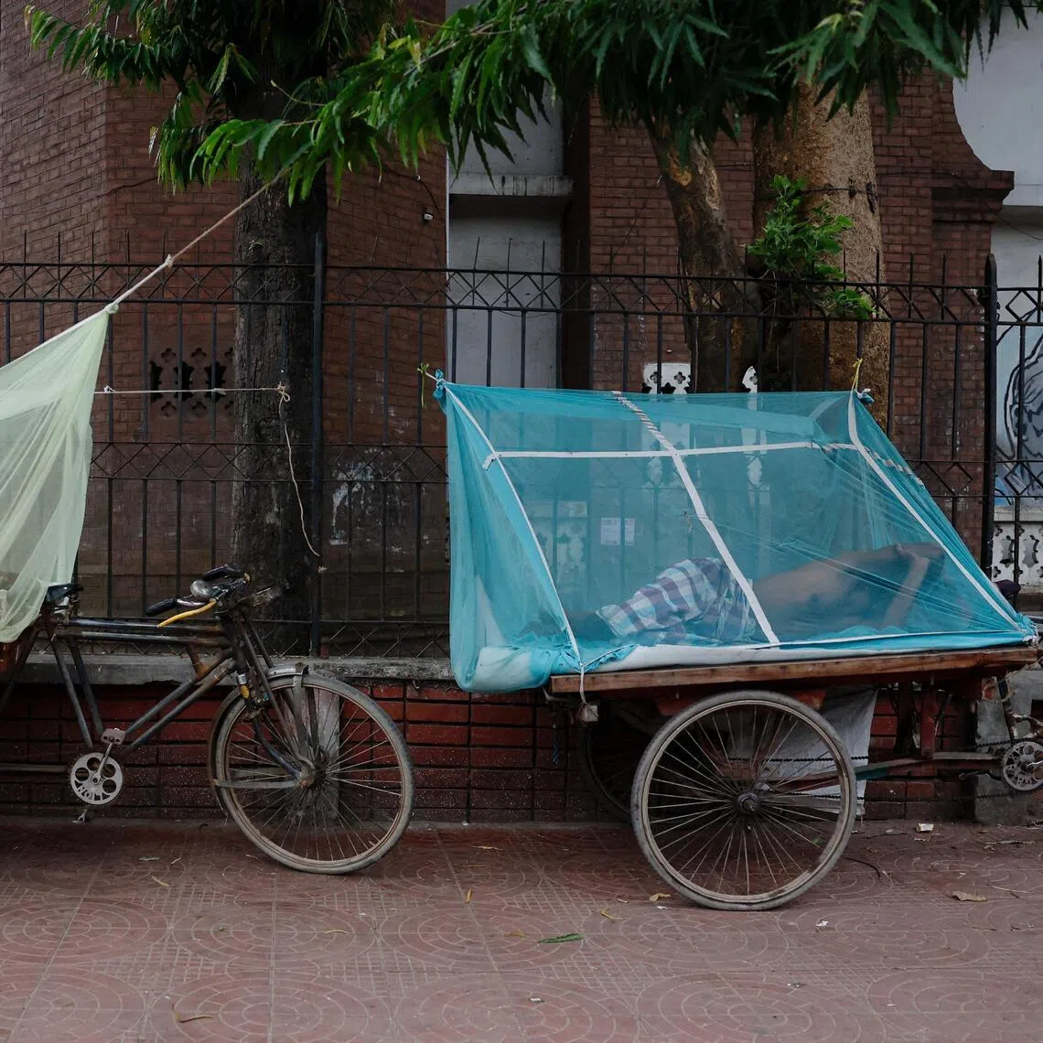 The spread of dengue fever in Bangladesh has accelerated in recent weeks.