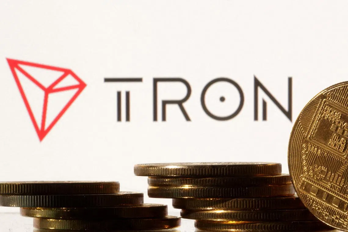 FILE PHOTO: Representations of cryptocurrencies are seen in front of displayed Tron logo in this illustration taken November 10, 2022. REUTERS/Dado Ruvic/Illustration/File Photo