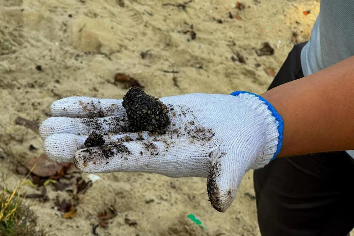 Tar balls are coagulated oil deposits mixed with sand must be manually removed from sand using tools like rakes or sieves, and can range in size from a fingernail to a fist. 