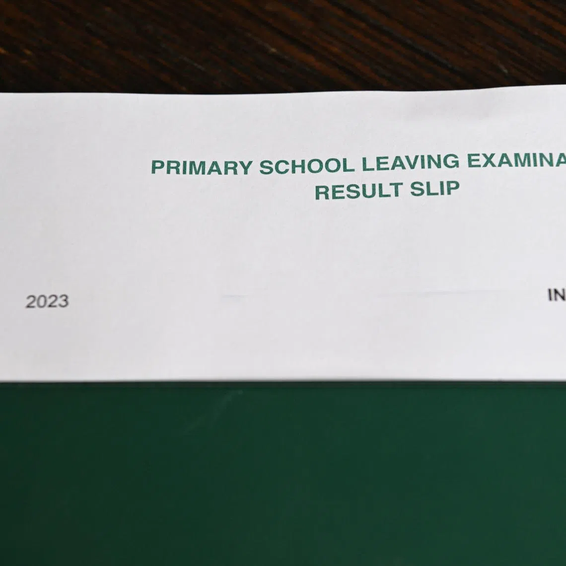 MOE's divisional director of curriculum planning and development Ong Kong Hong and mathematics expert Yeap Ban Har answer several questions posed on the PSLE.