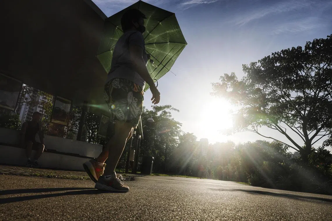 It is predicted that the return of El Nino will result in unprecedented heatwaves, making this year even hotter than 2022. 