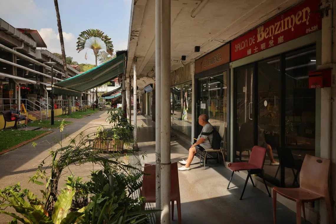 ST20231031_202393953759/eltanglin31/Esther Loi/Jason Quah

General view of Tanglin Halt pictured on Oct 31, 2023.