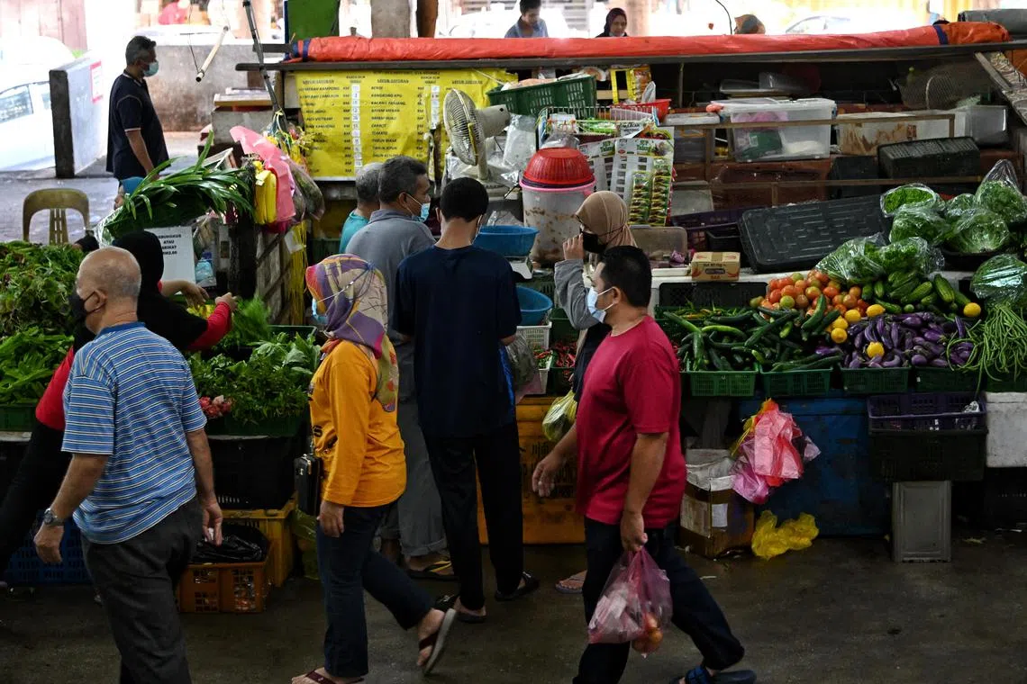 Vegetables such as tomatoes, French beans, chillies, capsicum, Japanese cucumber, and spinach are affected by the cold snap.