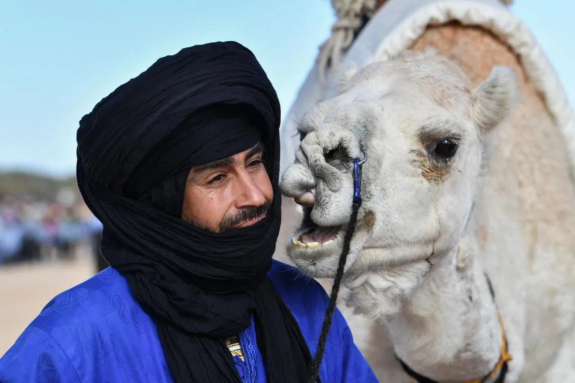 A performer wearing a traditional outfit standing by a camel during a show at the start of the International Sahara Festival on Dec 27, 2023 in Douz, in southern Tunisia. 