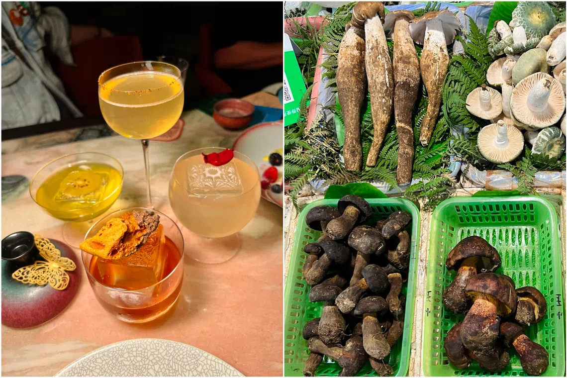 Cocktails at Suma Bar (left) and mushrooms on sale at Zhuanxin Farmers' Market (right).