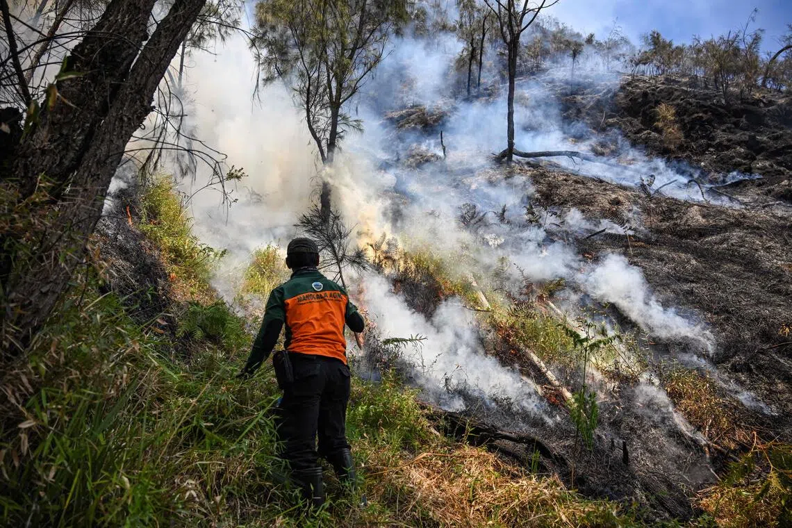 Indonesia battles Mount Bromo wildfire on Java island as El Nino takes root