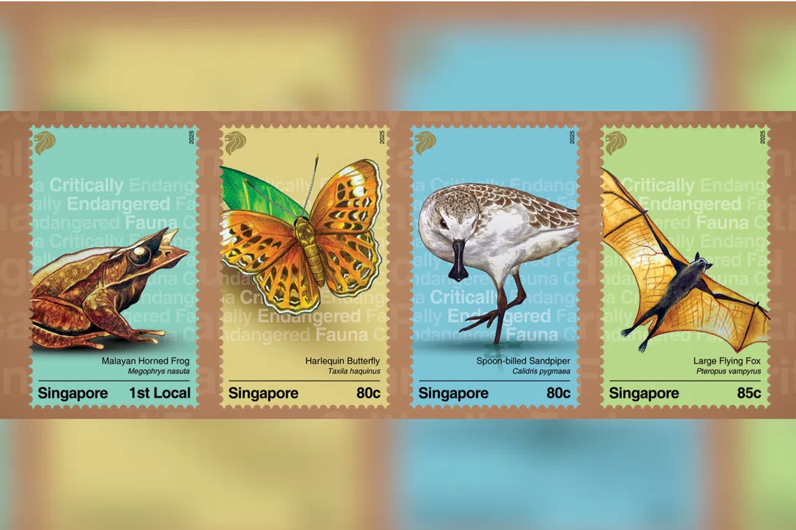 The series is part of SingPost’s ongoing efforts to raise awareness of local biodiversity. 