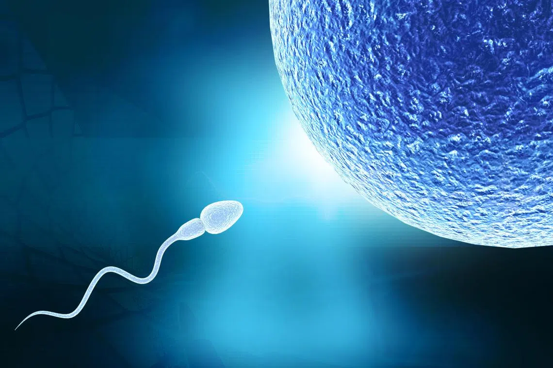 Human sperm and egg. 3d illustration