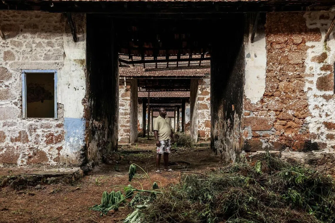 From forced labour to living heritage: Sao Tome’s colonial plantations get new lease of life