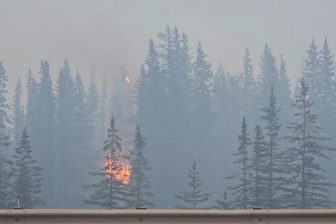 FILE PHOTO: Flames and smoke rise from a burning wildfire, as seen from a highway, in Jasper, Alberta, Canada, July 23, 2024, in this screen grab obtained from a social media video. Donald Schroll/via REUTERS/File Photo