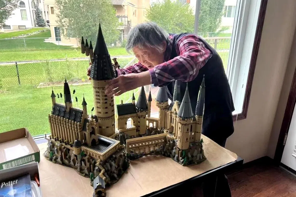 Ao construir cenários para as séries Harry Potter, O Senhor dos Anéis ou Star Wars, Wu foi capaz de apresentá-la a esses filmes. “De certa forma, a Lego abriu para ela uma janela para a cultura pop na qual ela provavelmente não estaria interessada de outra forma”, disse Wu.