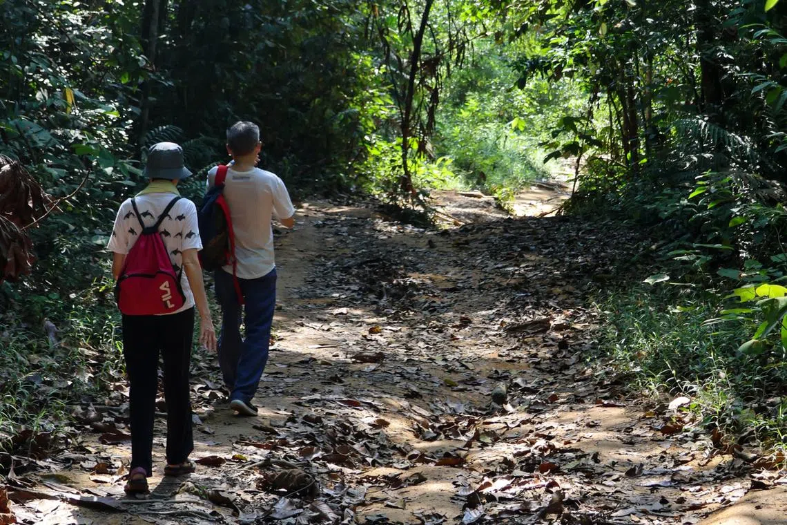 While regular running or jogging remains a formidable proposition, walking is doable. 