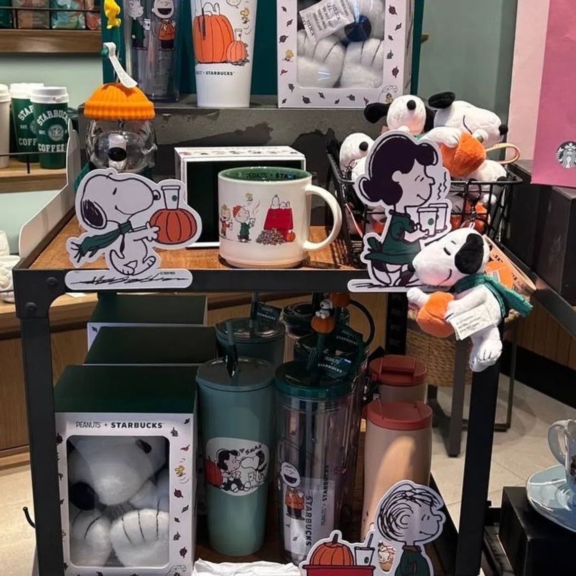 The autumn-themed Starbucks collection features beloved Peanuts characters Snoopy and Woodstock across a range of merchandise.