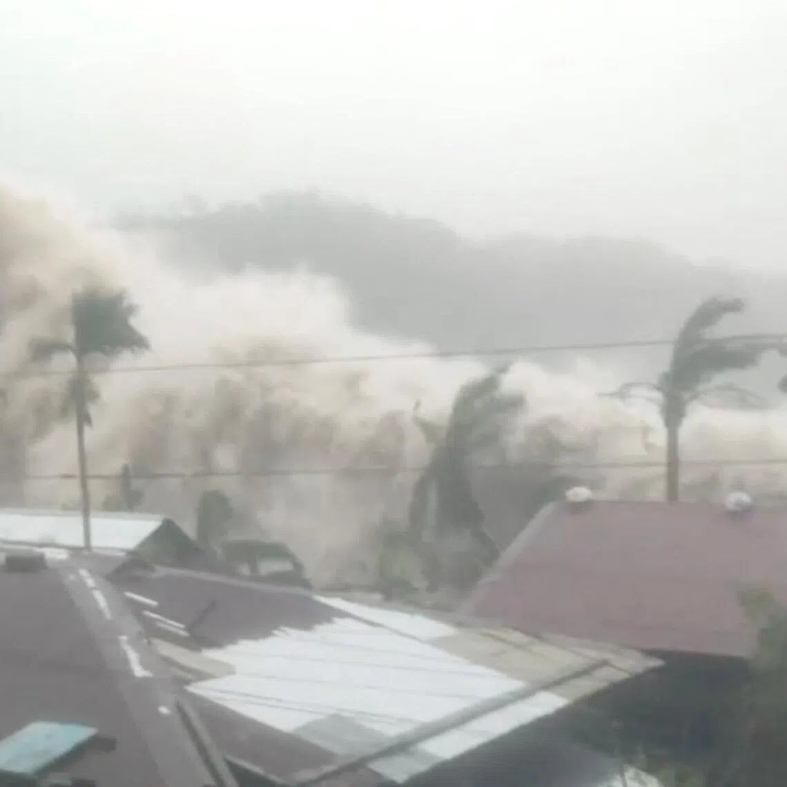 Palm trees and residential rooftops facing strong waves caused by Super Typhoon Fung-wong in Sicmil, Gigmoto, Catanduanes, Philippines on November 9, 2025, in this screengrab obtained from a social media video. 