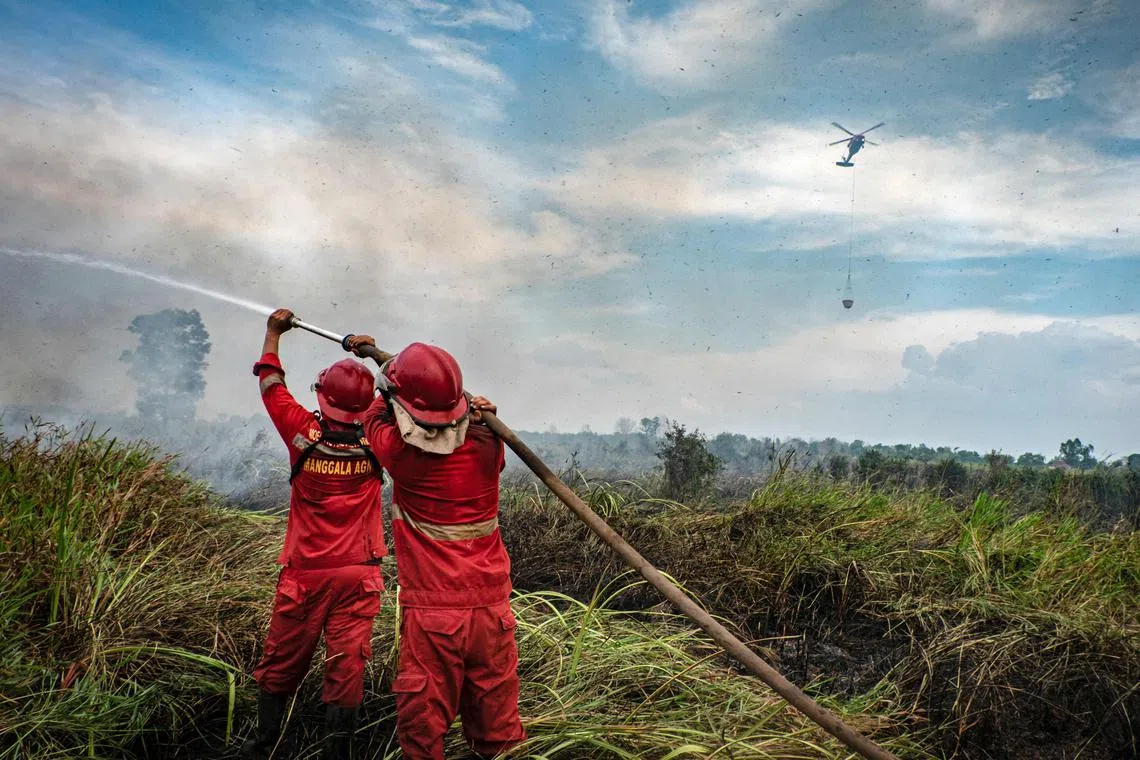 Firefighters try to extinguish a forest fire in Ogan Ilir, South Sumatra on Aug 27, 2024. 