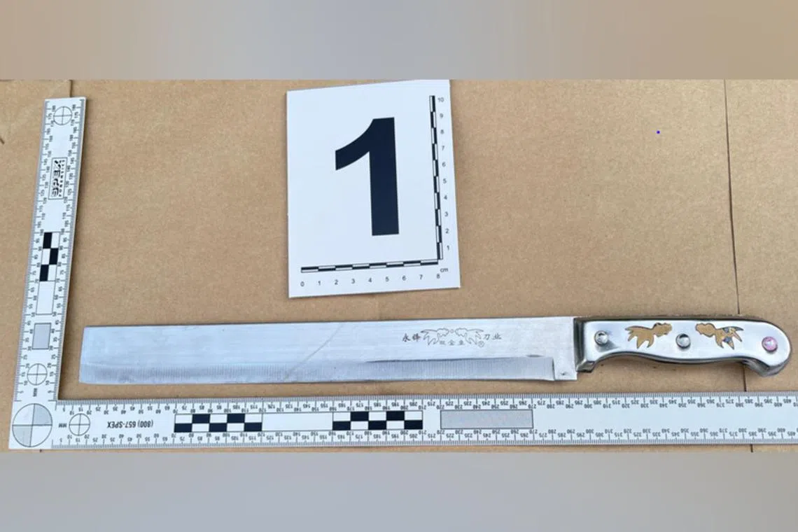 A knife believed to have been used to attack the victim, who had a deep slash on his forehead.