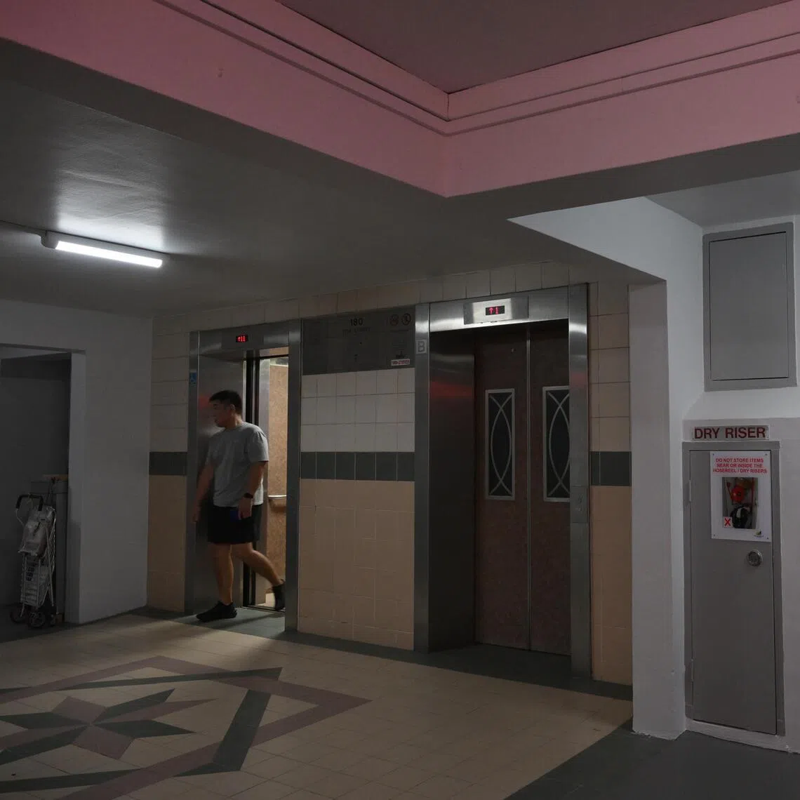 mwlight/ST20260330_202664800938/Ng Sor Luan/Taman Jurong CC had worked with a local lighting tech firm to improve smart light deployment, which led to a reduction in energy consumption by more than 70% and resulted in significant savings for the CC and the surrounding HDB blocks.

//

MP for the Taman Jurong division of West Coast-Jurong West GRC Shawn Huang .