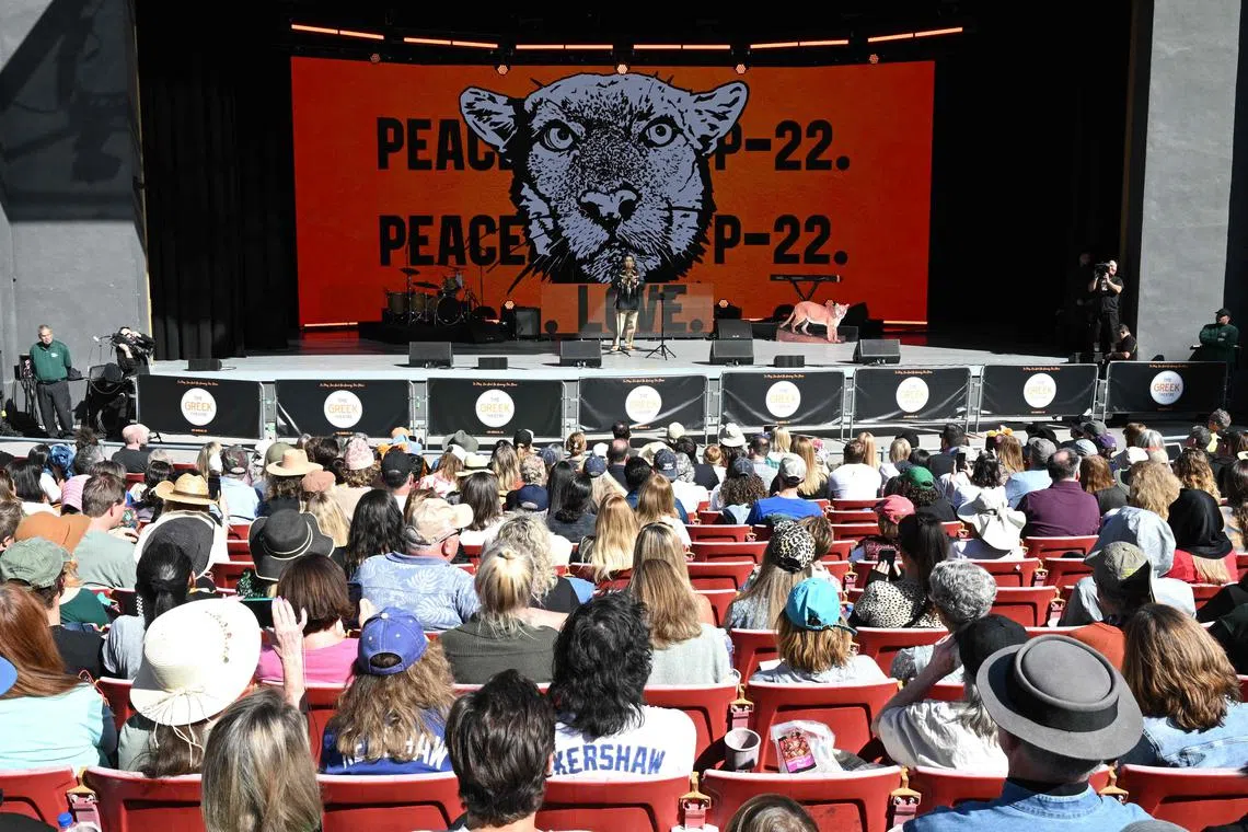 Thousands of fans honoured the big cat’s life and contribution to urban wildlife. 
