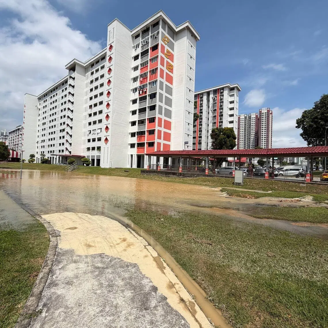 Water flowing out from the ground at a grass patch beside block 222 Ang Mo Kio Avenue 1 on Jan 11.