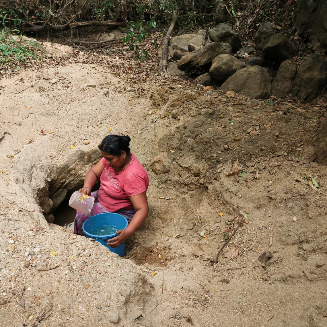 A woman draws water from a hole dug in a dry riverbed using a mug in Monaragala district, Sri Lanka, August 24, 2026. REUTERS/Priyanshu Singh