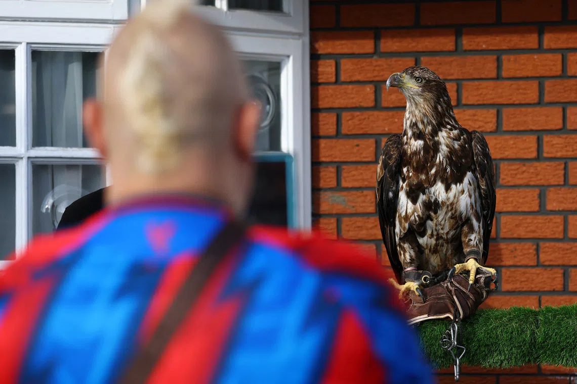 Crystal Palace’s American bald eagle mascot, Phoenix, outside the club’s Selhurst Park before a match.