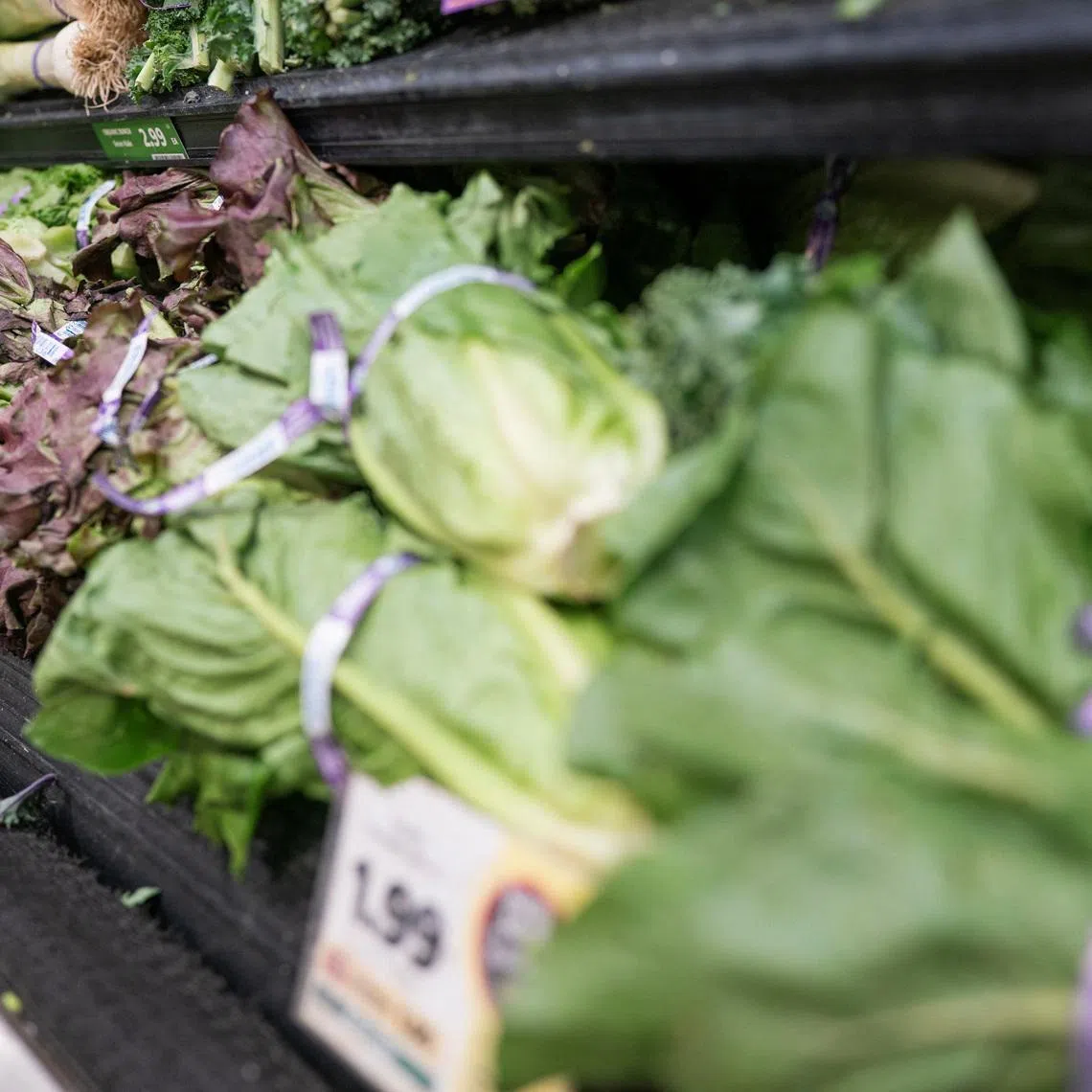 Consumer confidence in lettuce and other fresh produce has fallen during the current cyclosporiasis outbreak.