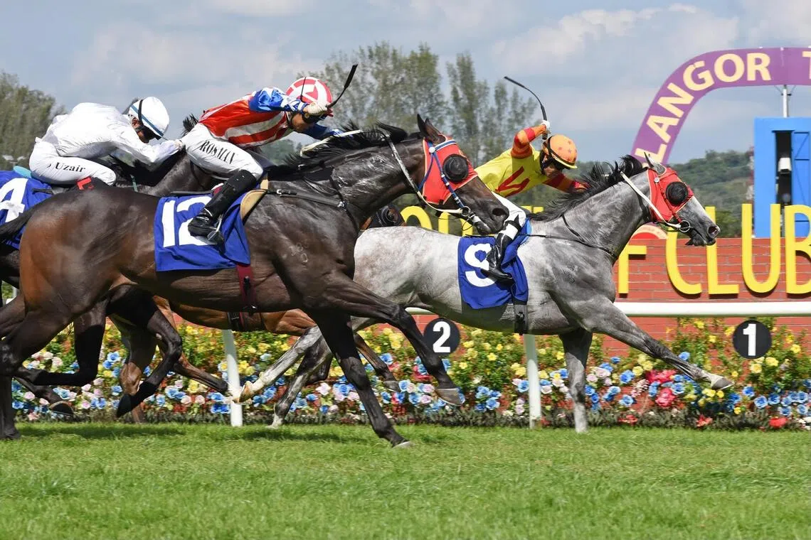 Energy Baby ready for two on the bounce