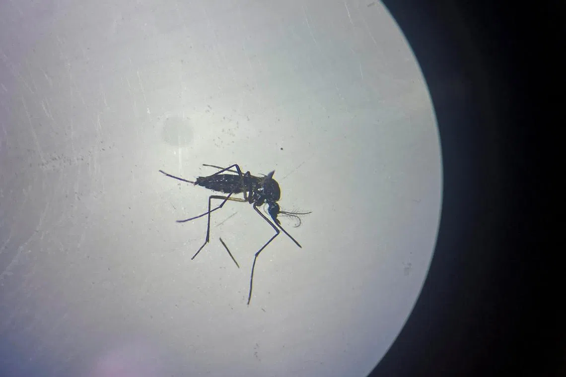 The person was hospitalised with severe central nervous system disease and later succumbed to the illness.