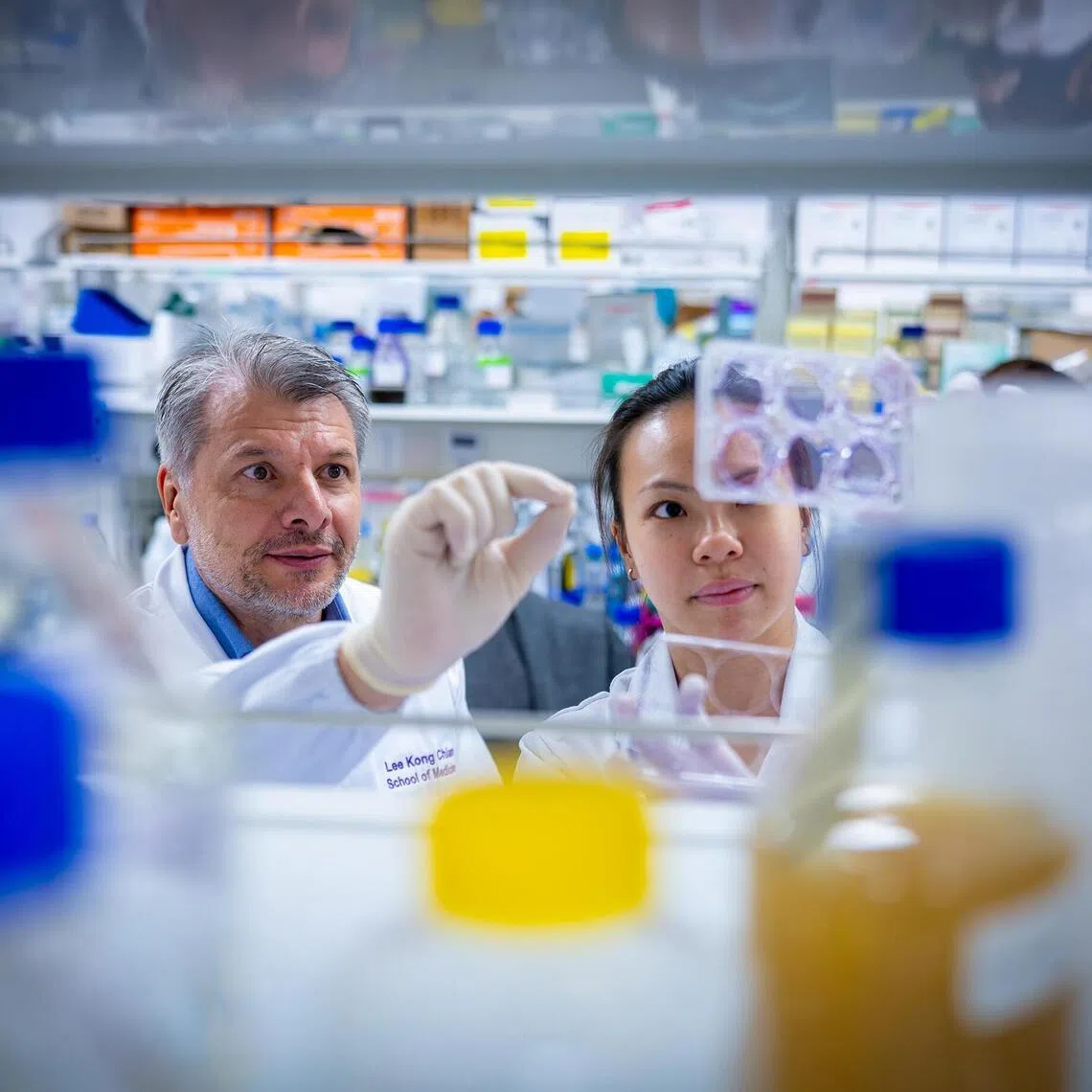 Kristijan Ramadan of NTU Lee Kong Chian School of Medicine (left) and PhD student Joanne Loh checking cancer cells in culture plates.