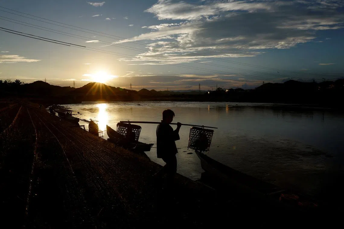 Toichiro, 22, son of cormorant fishing master or usho Youichiro Adachi, 48, carrying cormorants in baskets as he prepares for cormorant fishing or ukai, on the Nagara River in Oze, Seki, Japan, Sept 9, 2023. 
"I want my son to inherit my job, but it's tough to make a living," Adachi said.  