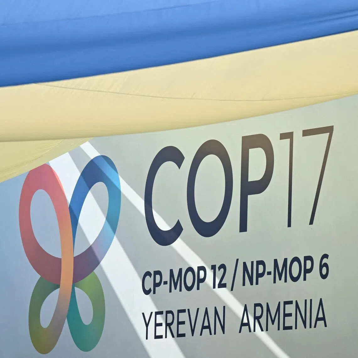 The UN biodiversity conference in Armenia will run until Oct 30.