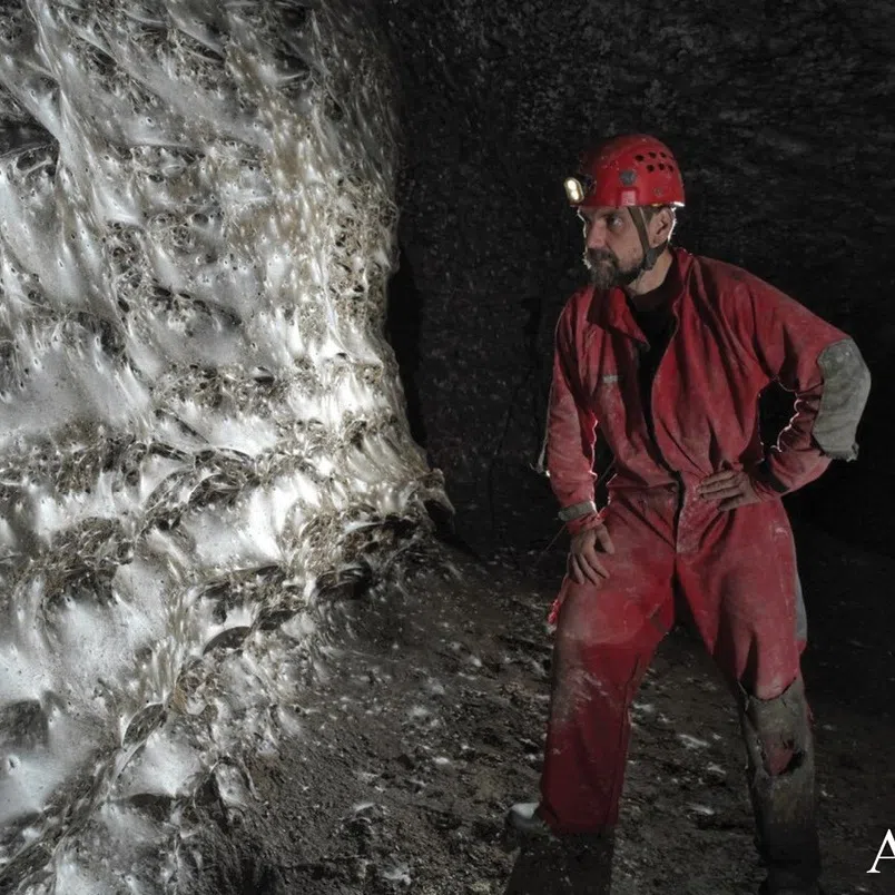 The web stretches for about 1,140 sq ft