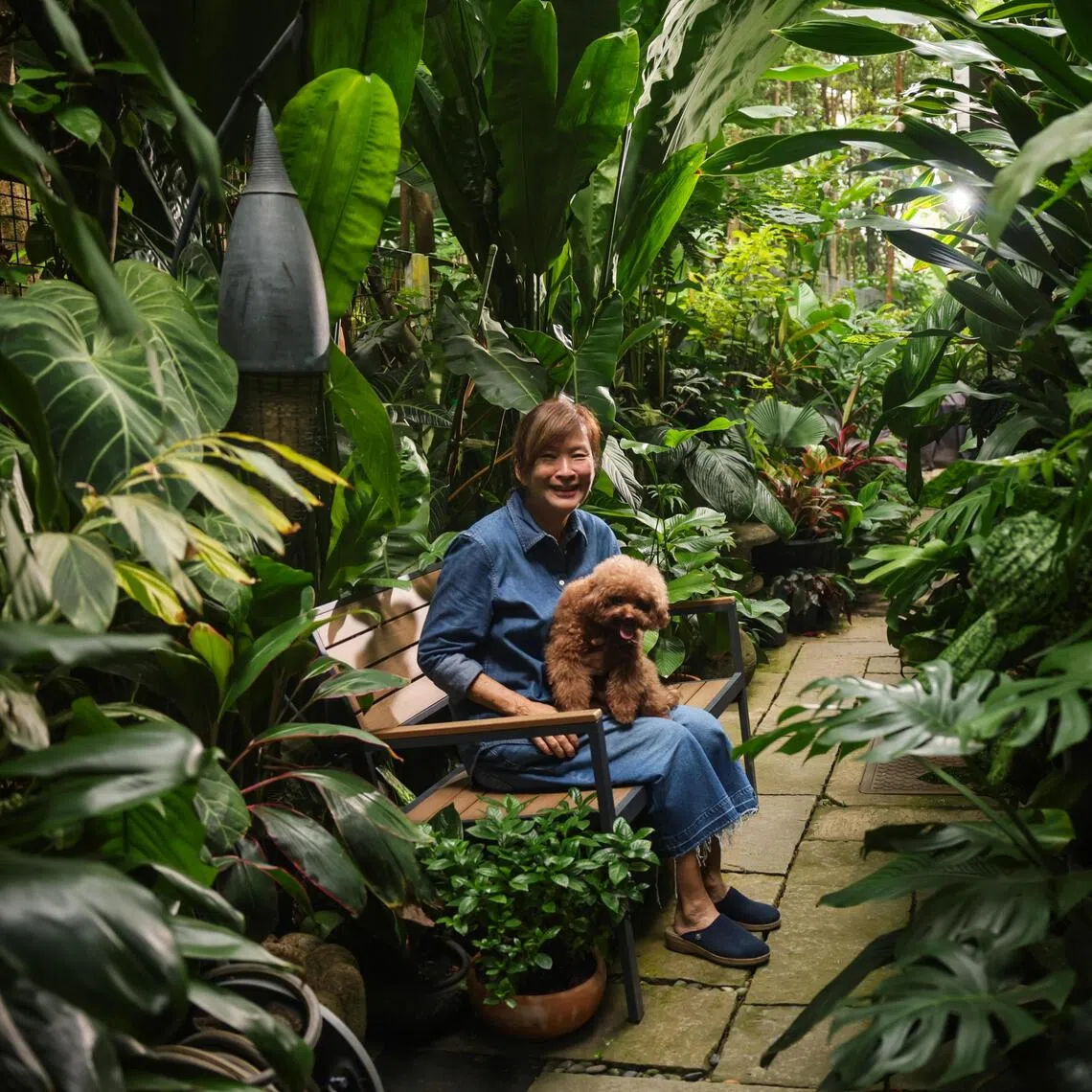 Former ST journalist Irene Ngoo of Min’s Garden fame in her new condo garden on Sept 7.