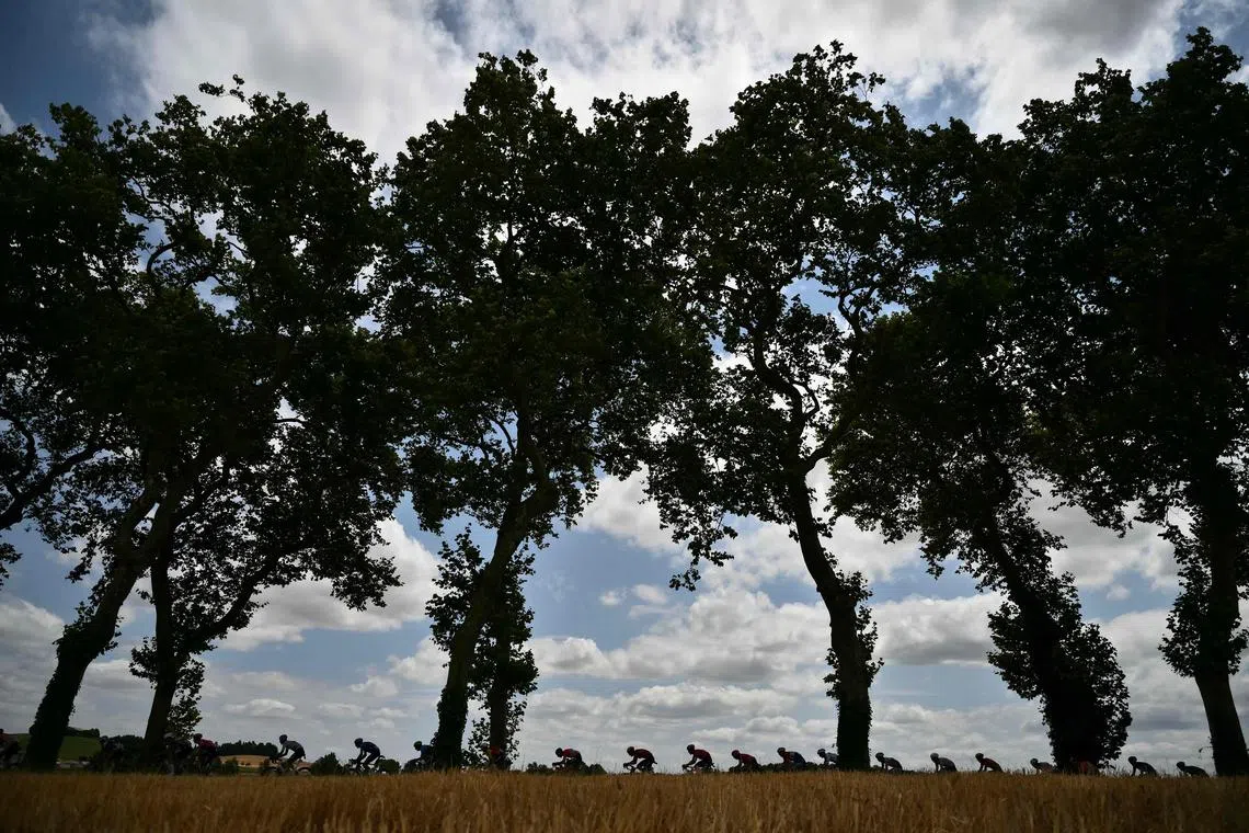 The pack of riders (peloton) cycling during the 15th stage of the 112th edition of the Tour de France cycling race, between Muret and Carcassonne, southwestern France, on July 20, 2025. 