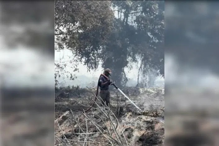 A total of 35 firefighters have been deployed, as well as personnel from several agencies including the police, Civil Defence Force and Environment Department.