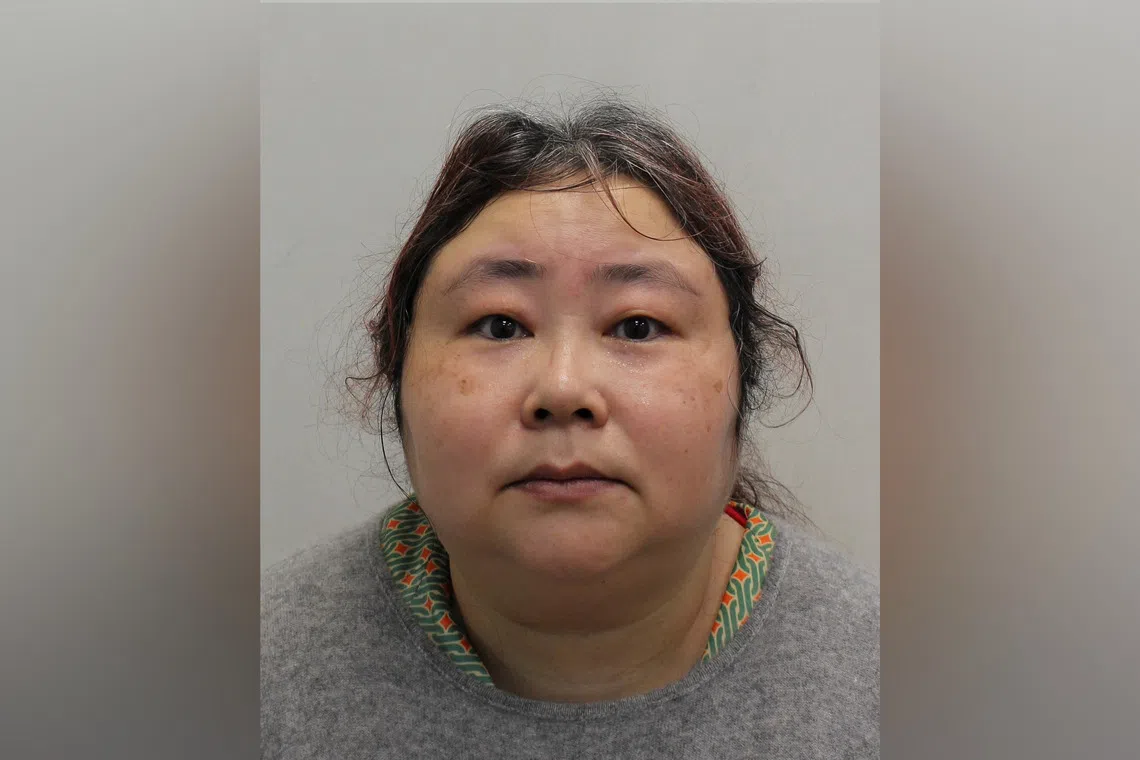 Prosecutors say Qian Zhimin ran an investment fraud between 2014 and 2017.