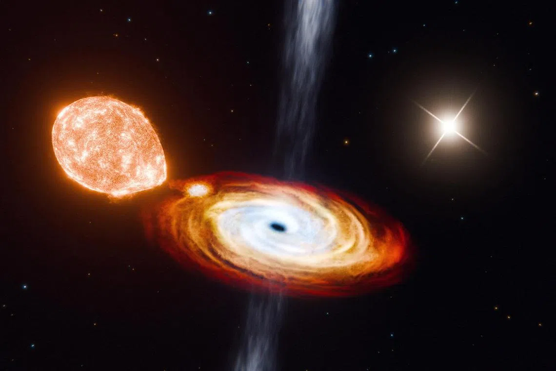 An artist's impression shows a triple star system called V404 Cygni with a black hole and two ordinary stars. Material siphoned from the deformed nearby star (left) is pictured swirling around the black hole (right), as the third star (top right) shines in the distance.