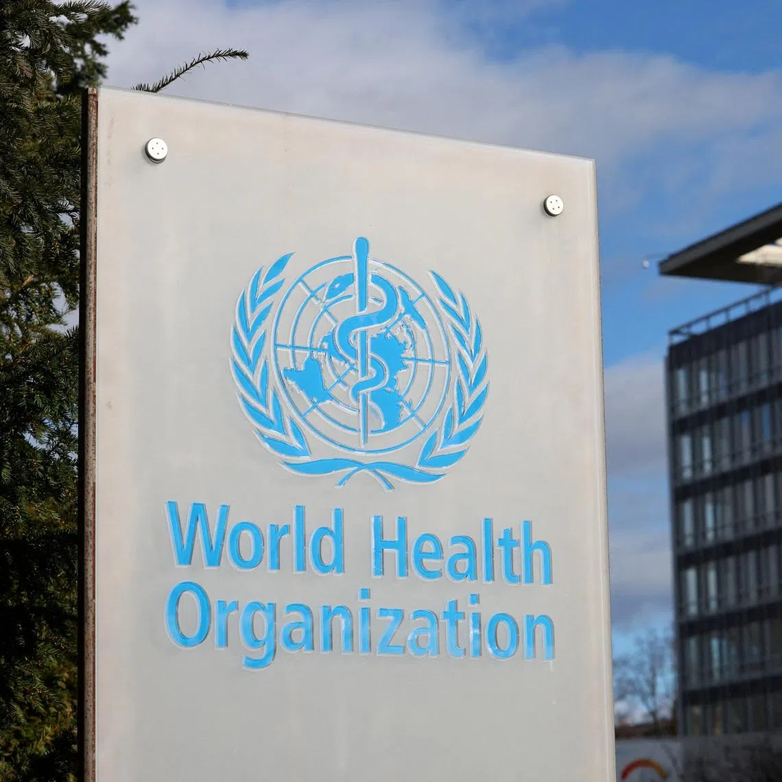 The World Health Organization estimates that 239 million people would need urgent humanitarian assistance in 2026