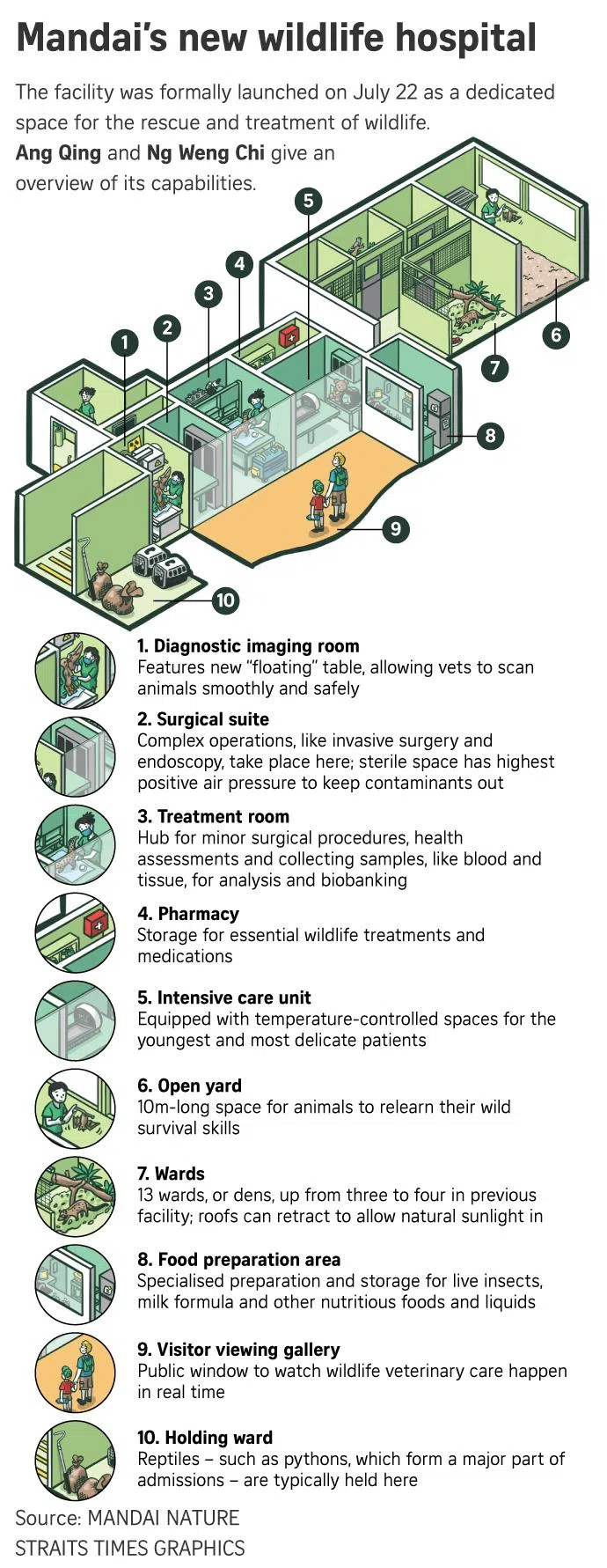 A graphic showing the layout of the Mandai Wildlife Centre.