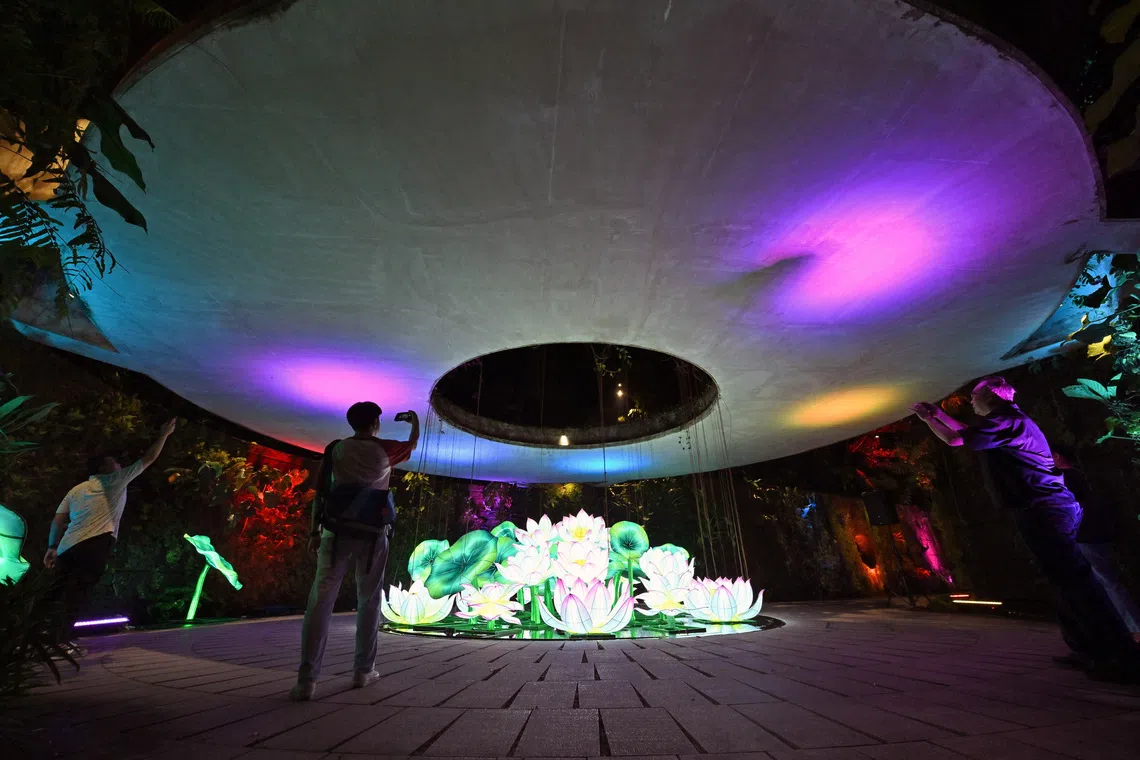 The Lotus In Bloom display at the Sunken Garden. A vibrant wash of multicoloured lights transforms the Sunken Garden into a magical after-dark spectacle, dotted with delicate lotus lanterns that add festive warmth.