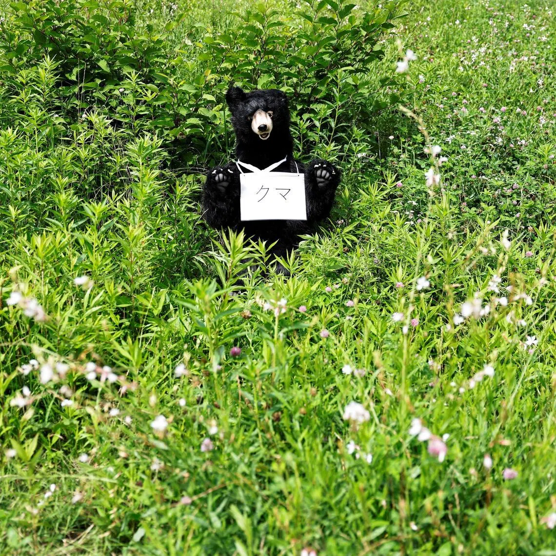A resident found a bear in his kitchen after investigating a noise on the night of July 13.
