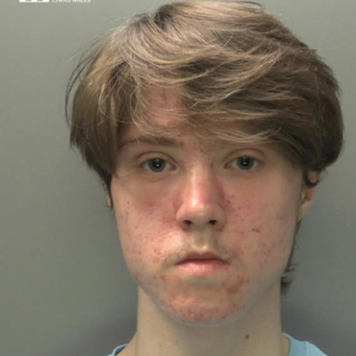 McKenzie Morgan planned to bomb a reunion concert by British rock band Oasis.