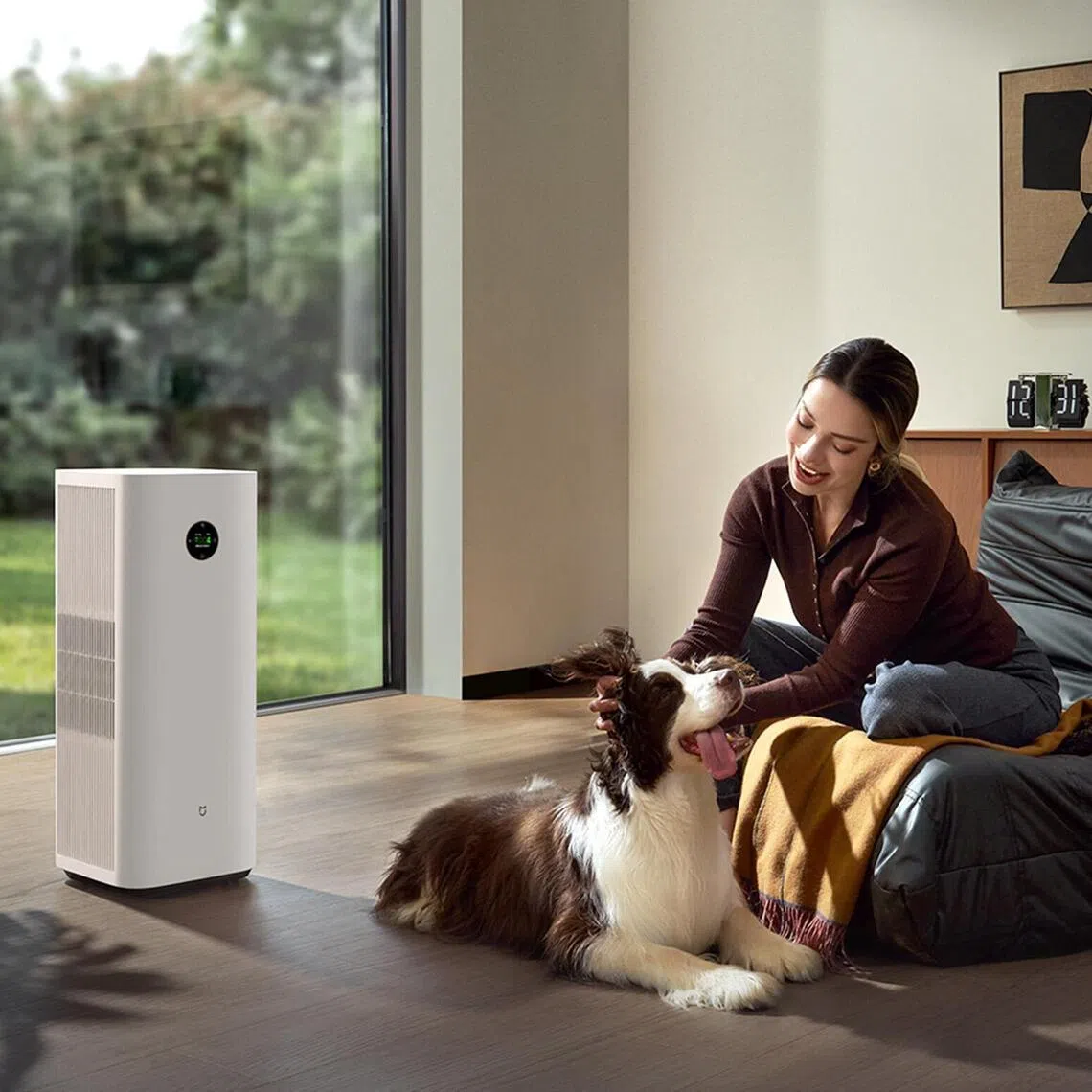 Portable air purifiers can help to filter particulates out of the air.