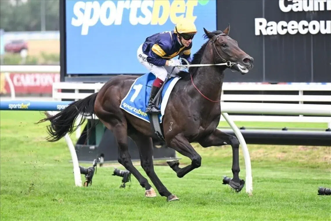Big Sky (Ben Melham) winning the Group 3 Chairman's Stakes (1,000m) at Caulfield in Australia on Jan 31. The unbeaten Mick Price and Michael Kent Jr-trained colt will be ridden by Jordan Childs in the Group 1 Blue Diamond Stakes at Caulfield on Feb 21.