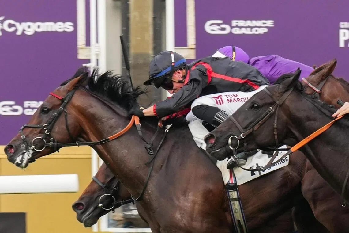 Maltese Cross - Maltese Cross (Tom Marquand) lunging late between horses to gain the verdict in the Group 1 Grand Prix de Paris (2,400m) at ParisLongchamp on July 14

PHOTO: SCOOPDYGA